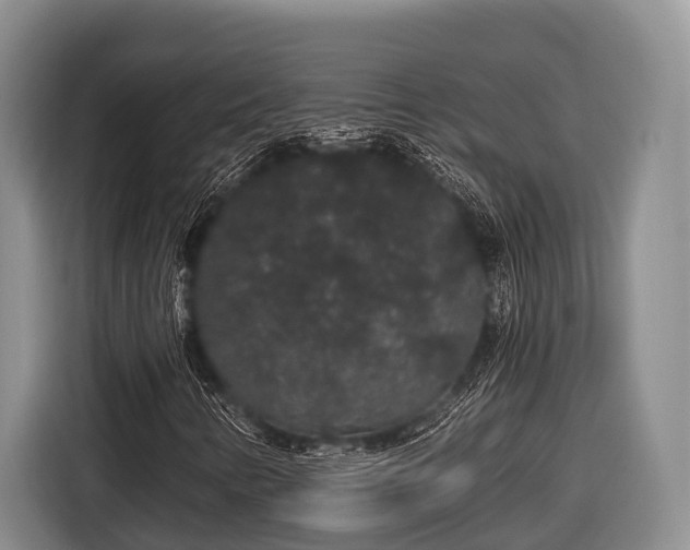 X0000116861346200912291252