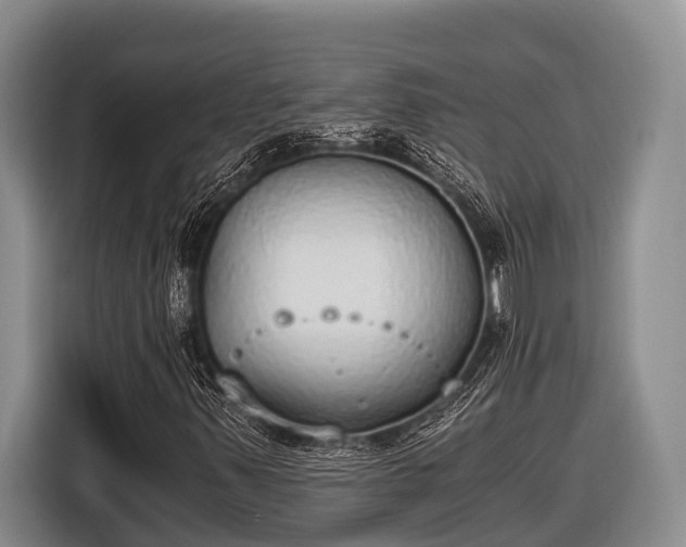 X0000116861347200912291252