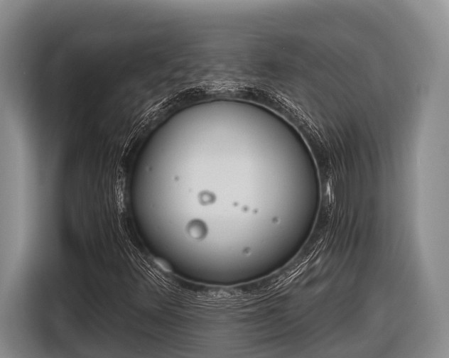 X0000116861348200912291252