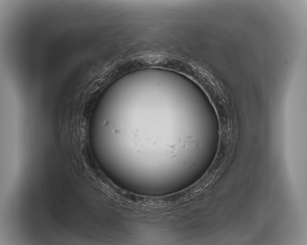 X0000116861349200912291252