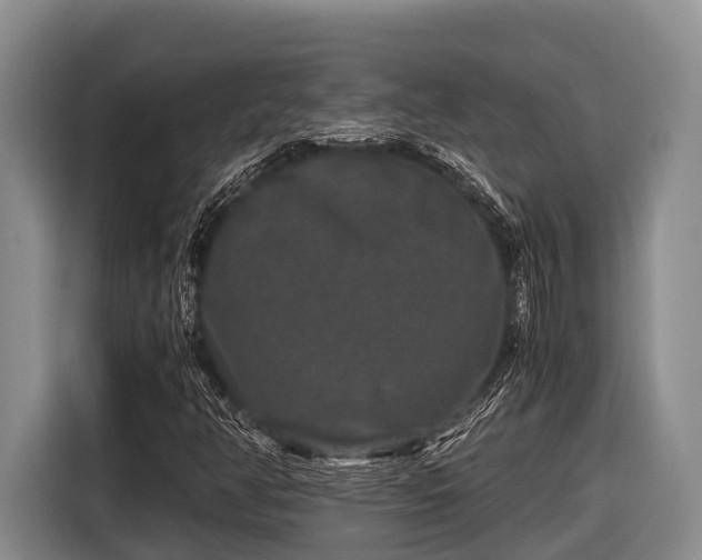 X0000116861350200912291252