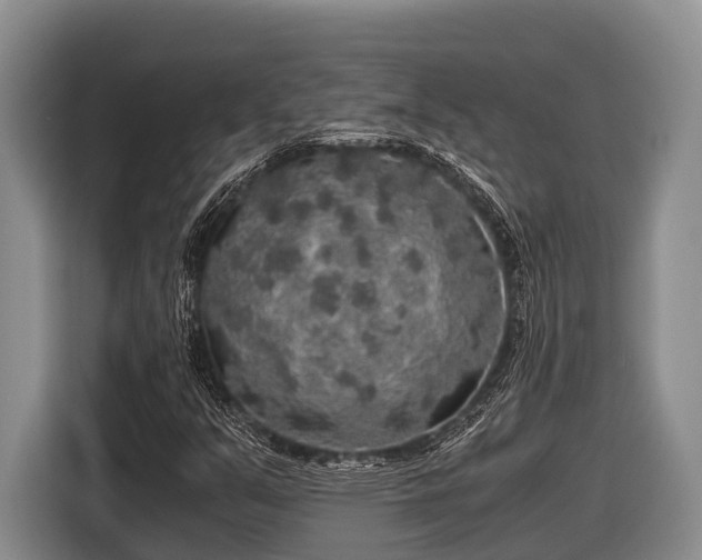 X0000116861351200912291252