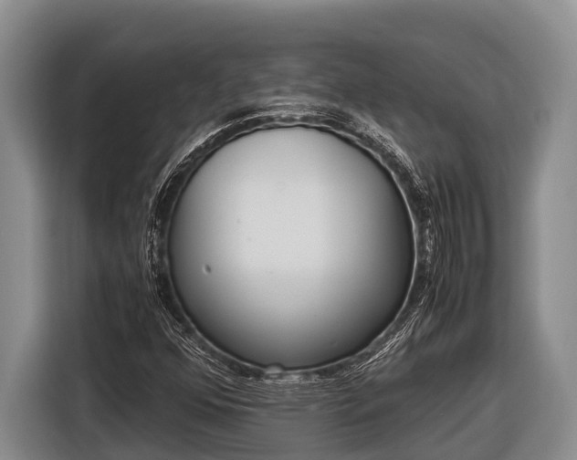 X0000116861352200912291252