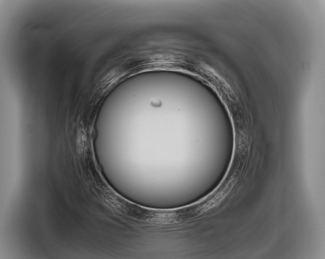 X0000116861353200912291251