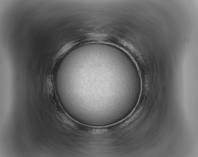 X0000116861354200912291251