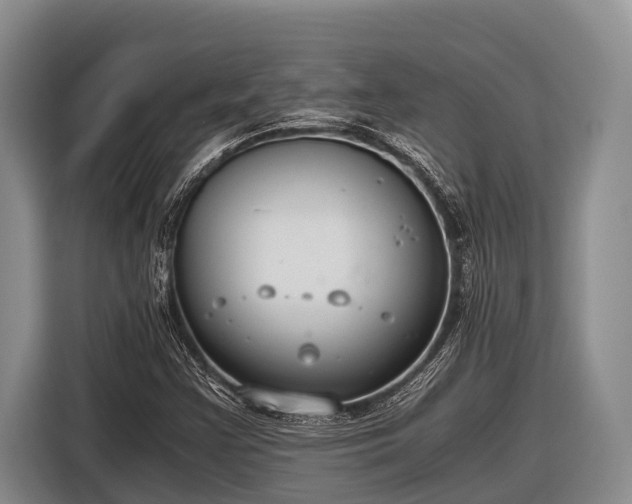 X0000116861355200912291251