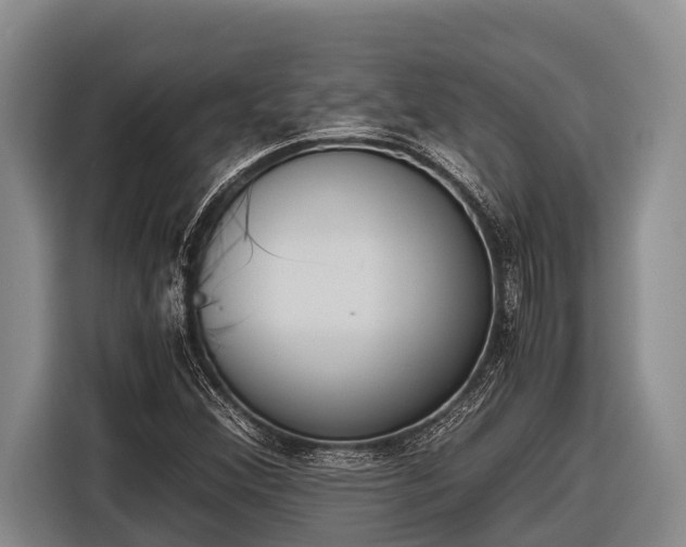 X0000116861356200912291251
