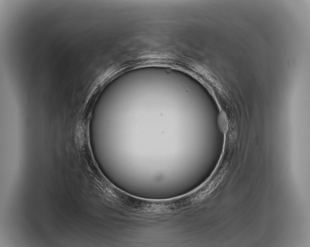 X0000116861357200912291251