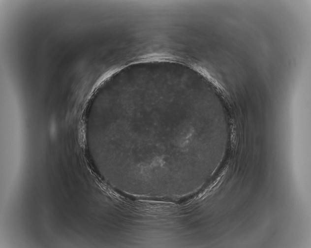 X0000116861358200912291251