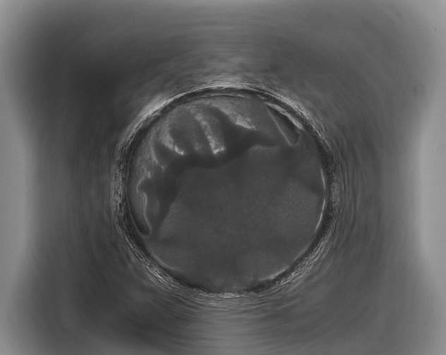 X0000116861359200912291251