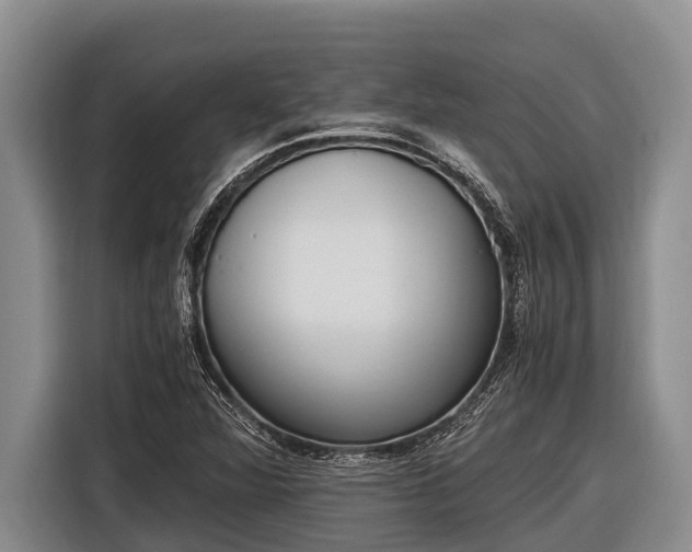 X0000116861360200912291251
