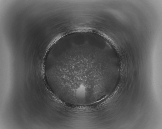 X0000116861362200912291251