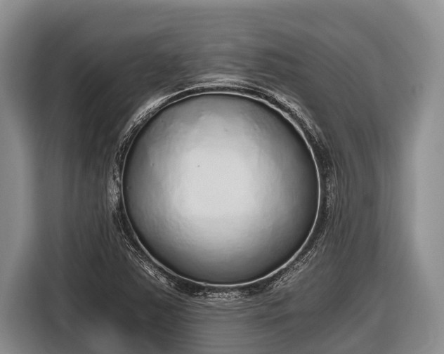 X0000116861363200912291251