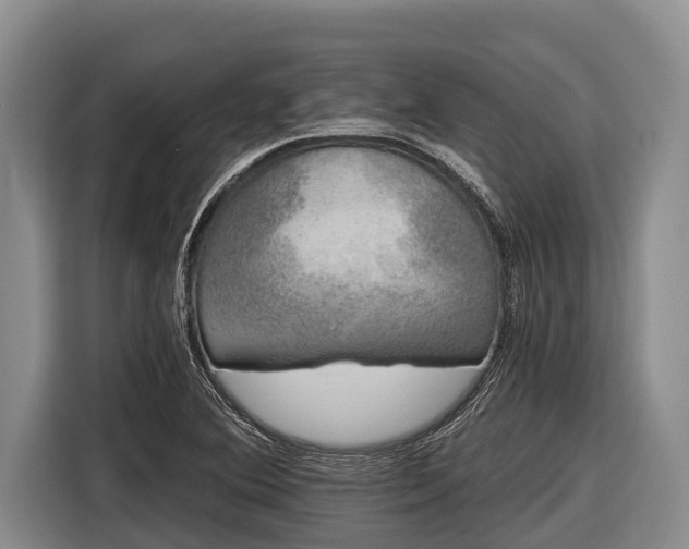 X0000116861364200912291251