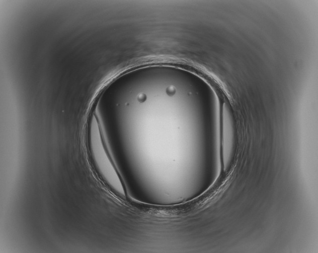 X0000116861365200912291251