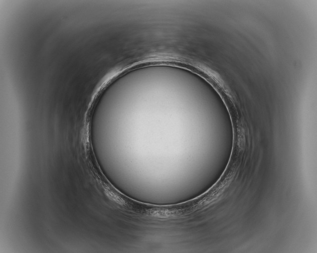 X0000116861366200912291251