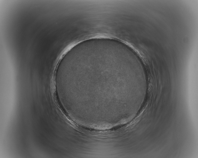 X0000116861367200912291251