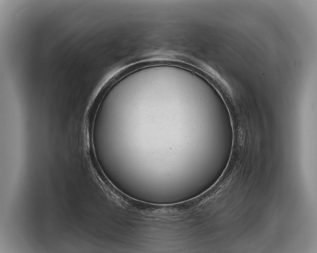 X0000116861368200912291251