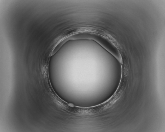 X0000116861369200912291251