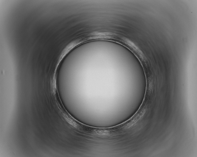 X0000116861370200912291251
