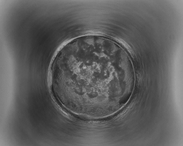 X0000116861371200912291251
