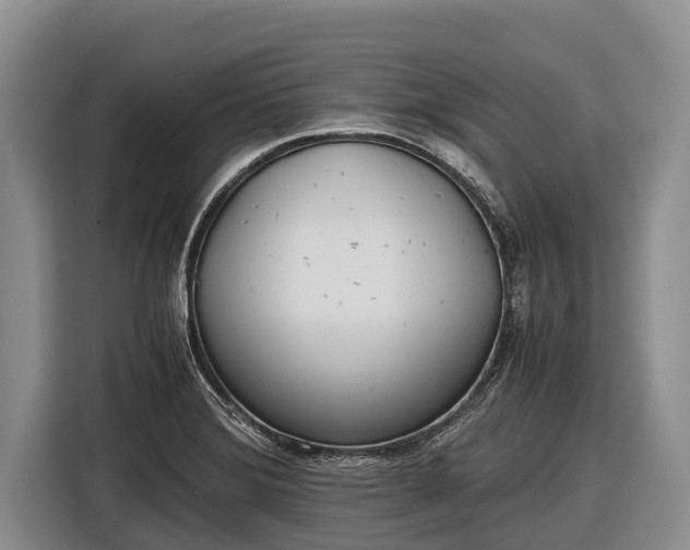 X0000116861372200912291251