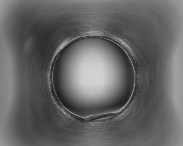 X0000116861373200912291251