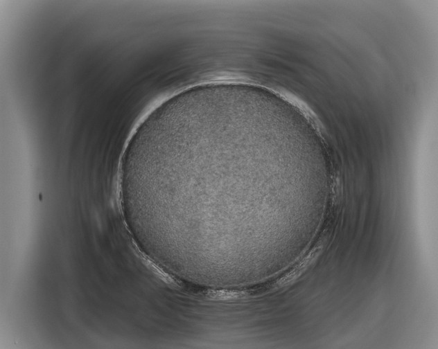 X0000116861374200912291251