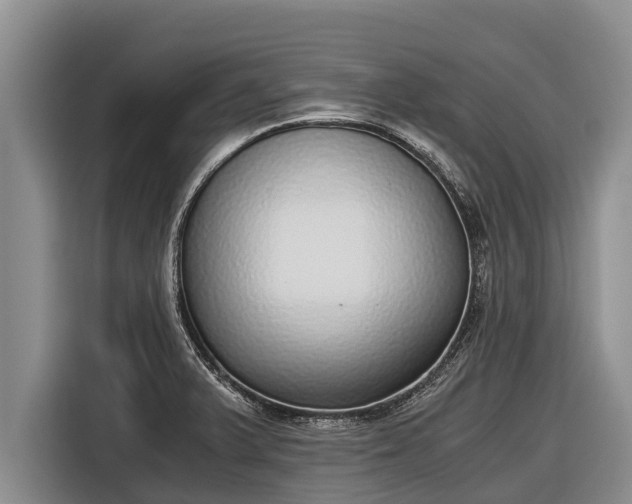 X0000116861375200912291251