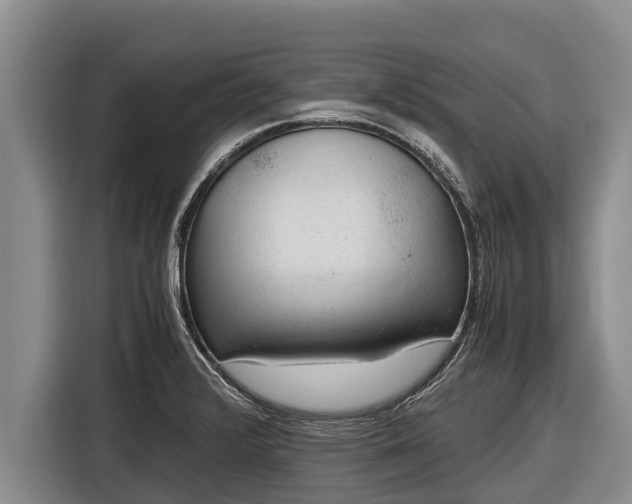 X0000116861376200912291251