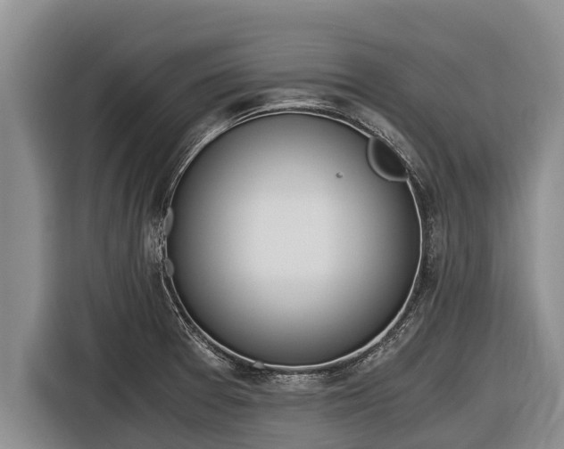 X0000116861377200912291251