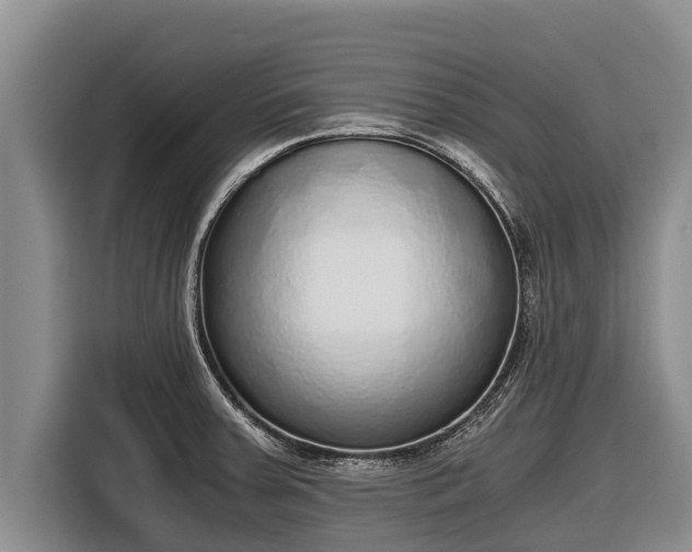 X0000116861379200912291251