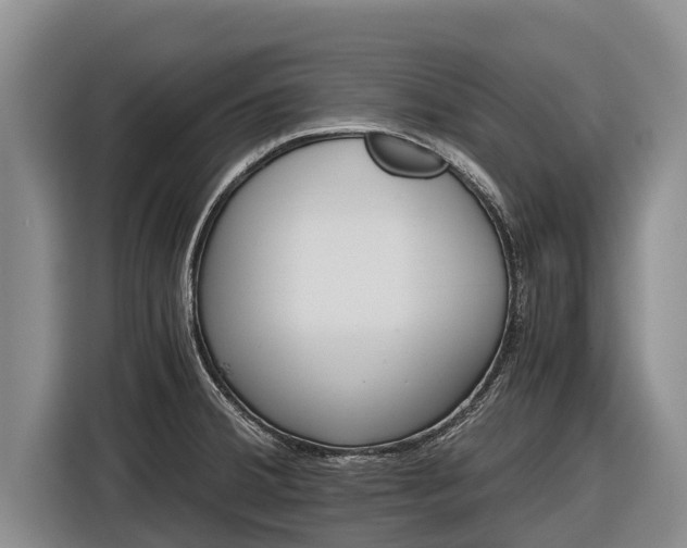 X0000116861380200912291251
