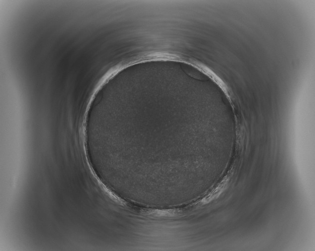X0000116861381200912291251