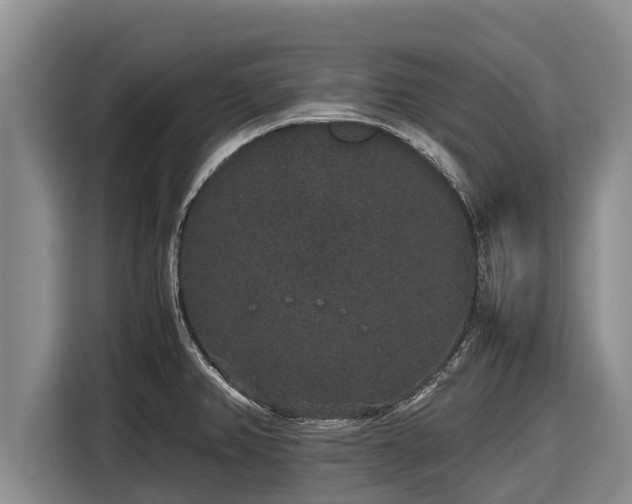 X0000116861382200912291251