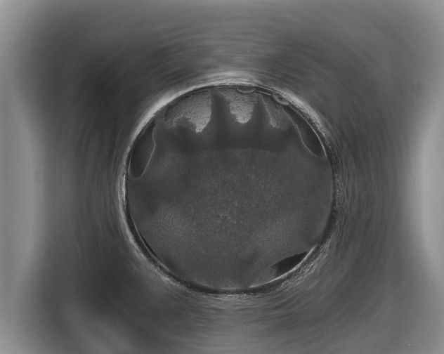 X0000116861383200912291251