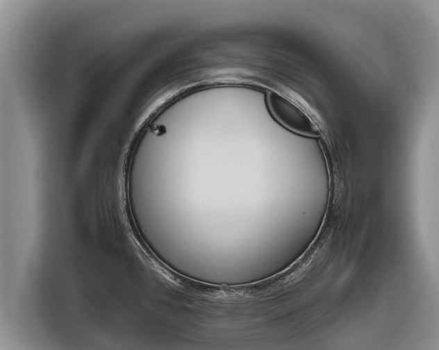 X0000116861384200912291251