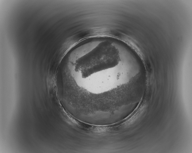 X0000116861385200912291251