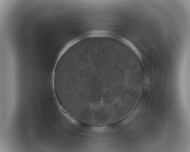 X0000116861386200912291251