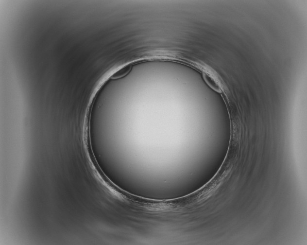 X0000116861387200912291251