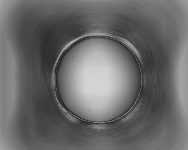 X0000116861388200912291251
