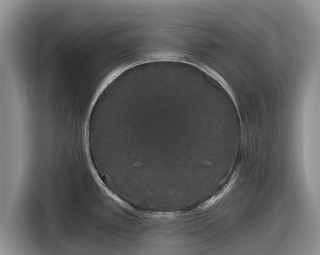 X0000116861389200912291251