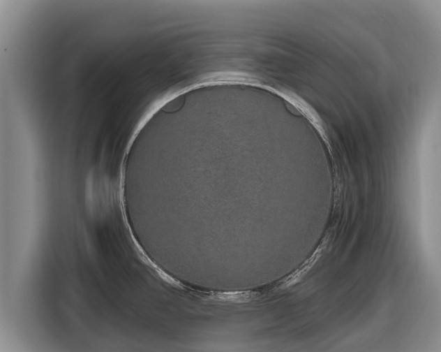 X0000116861390200912291251