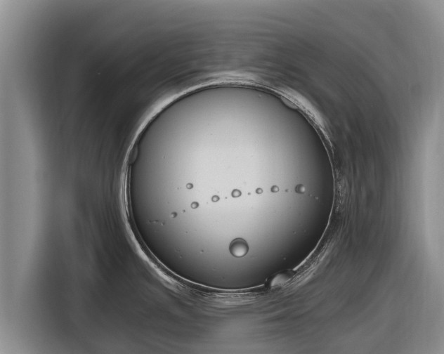 X0000116861391200912291251