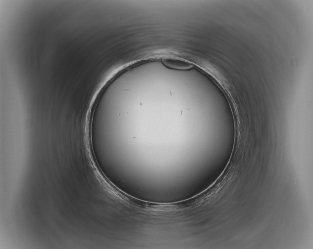 X0000116861392200912291251