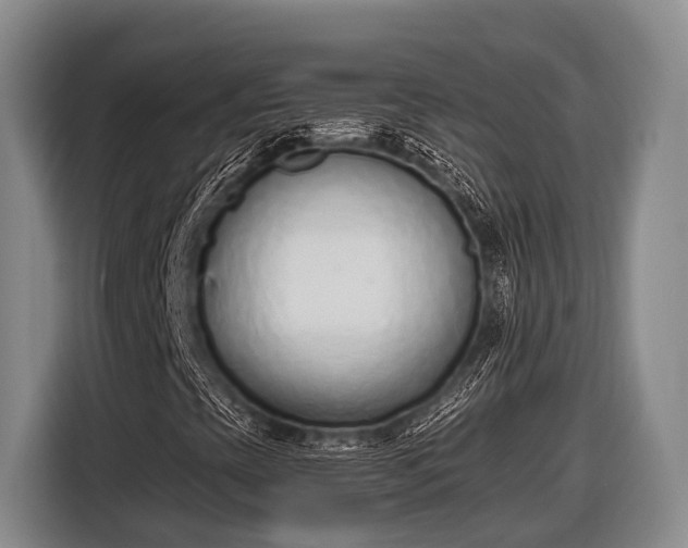 X0000116861393200912291250