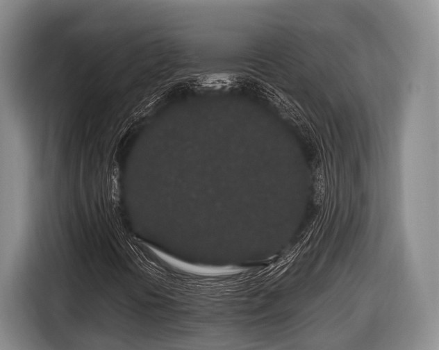 X0000116861394200912291250