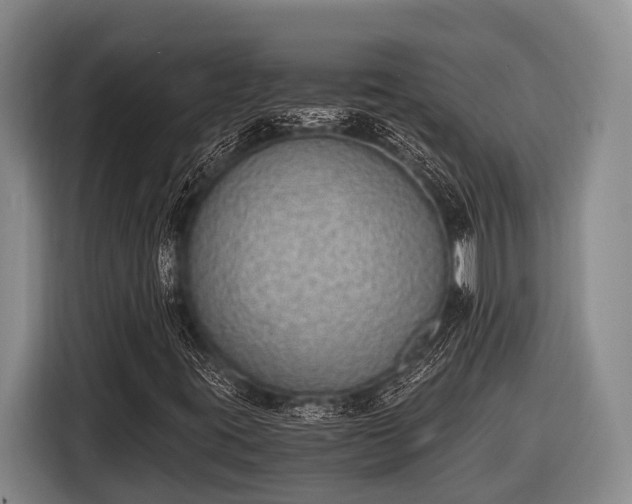 X0000116861395200912291250