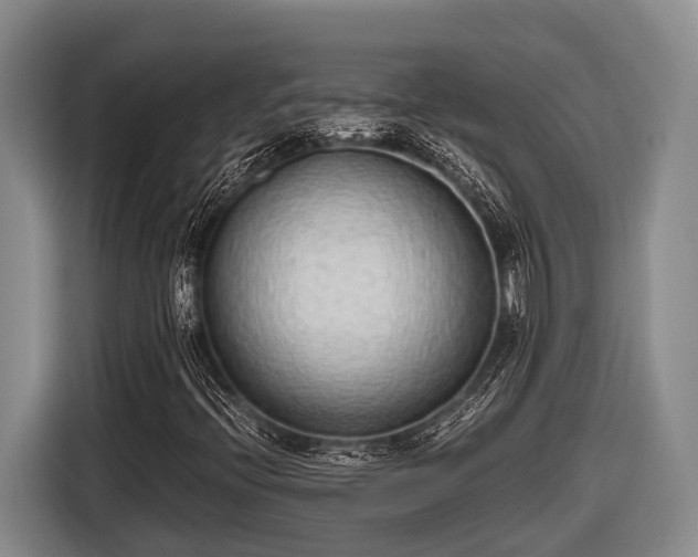 X0000116861396200912291250