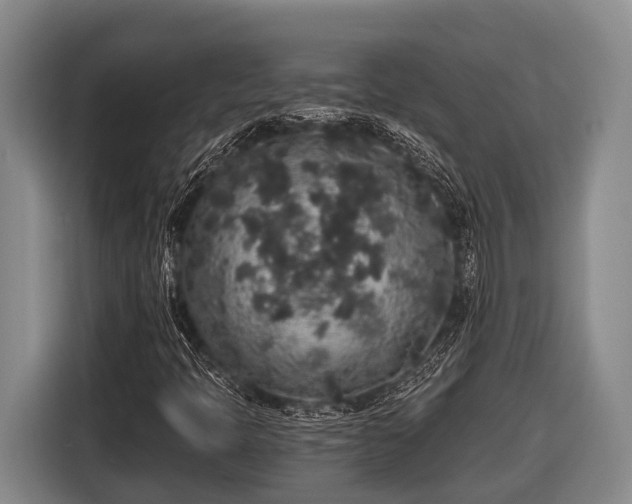 X0000116861397200912291250